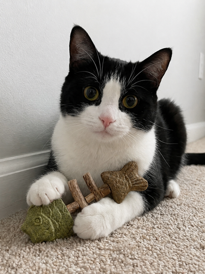Catnip & SilvervineChew