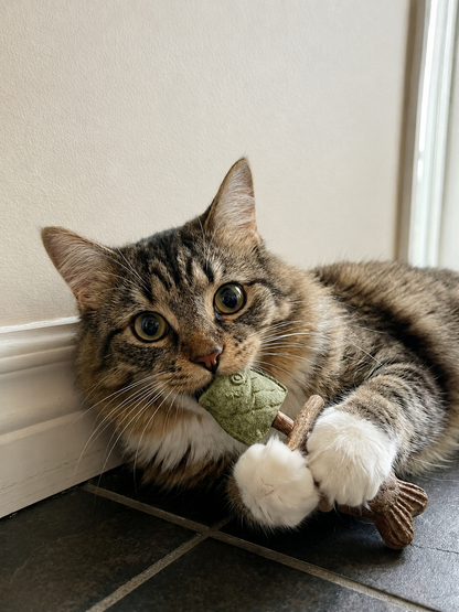 Catnip & SilvervineChew