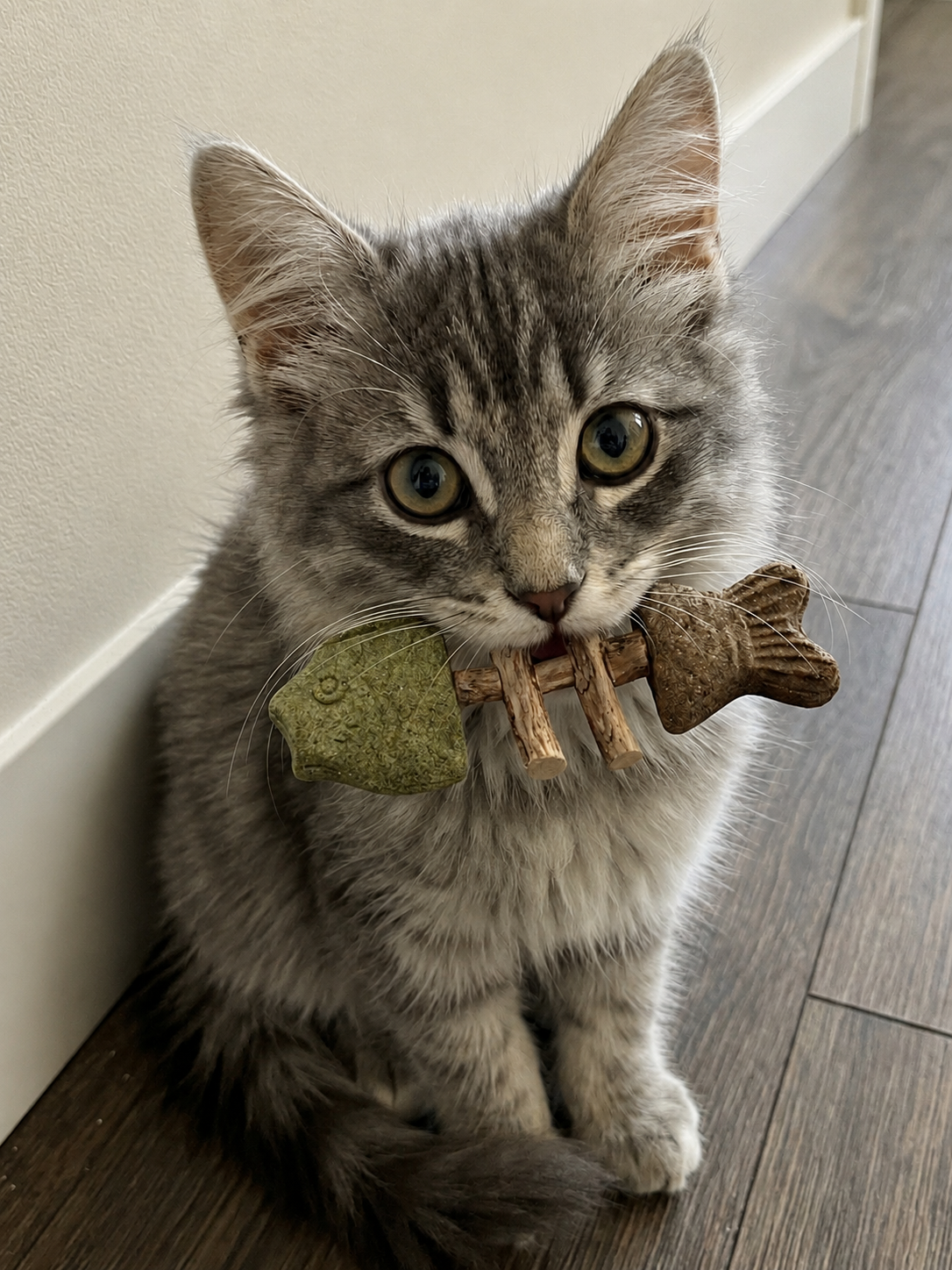 Catnip & SilvervineChew