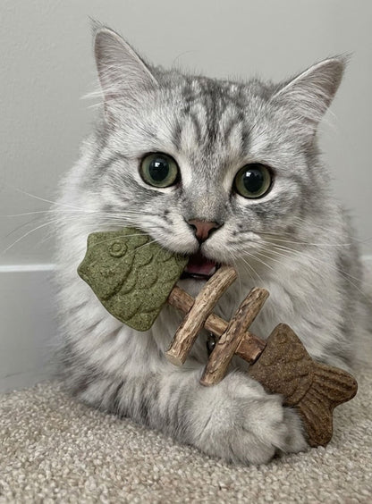 Catnip & SilvervineChew